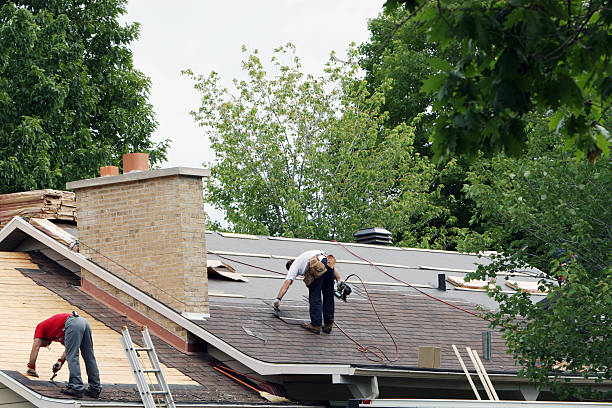 Roof Gutter Cleaning in East Stroudsburg, PA